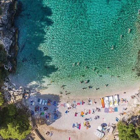 Awesome In With Wifi Apartment